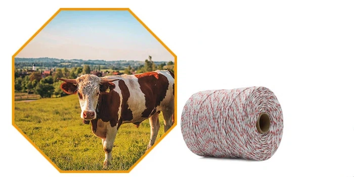 info-800-400 info-800-400